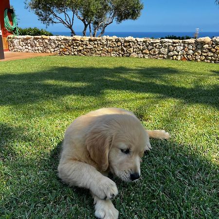 Tu Pequeno Paraiso Villa Calafell Dış mekan fotoğraf