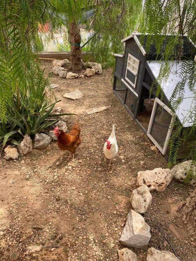 Tu Pequeno Paraiso Villa Calafell Dış mekan fotoğraf