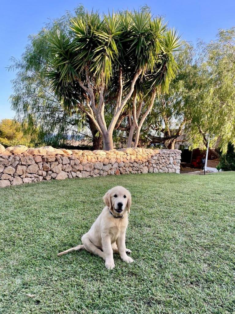 Tu Pequeno Paraiso Villa Calafell Dış mekan fotoğraf