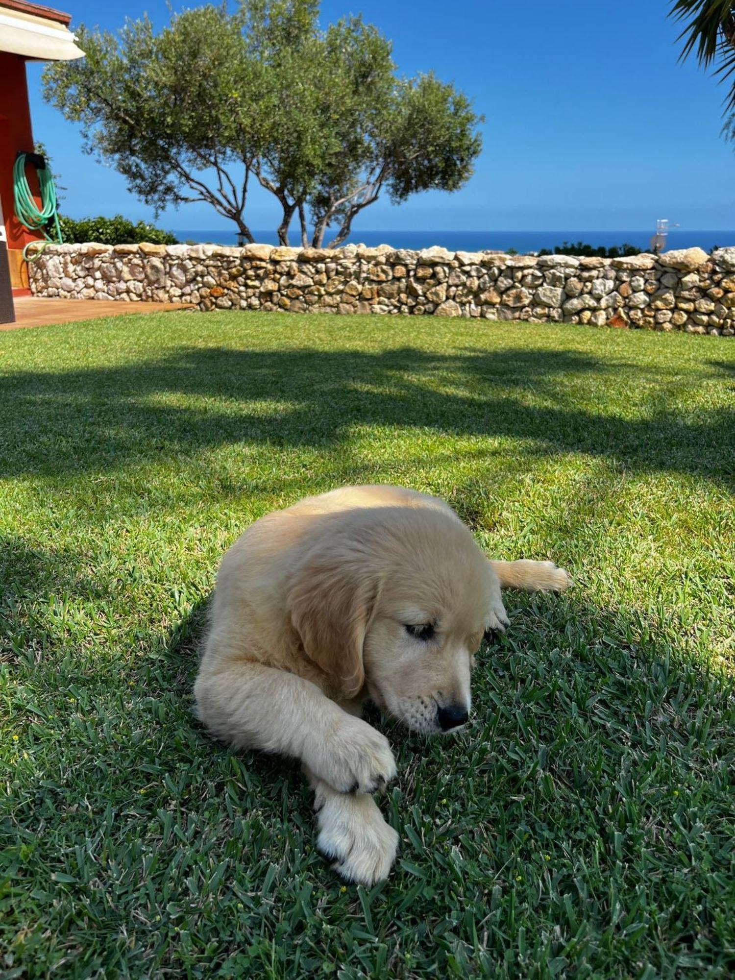 Tu Pequeno Paraiso Villa Calafell Dış mekan fotoğraf